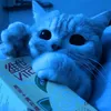 bluesnowcat