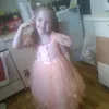 karolsfhrvz