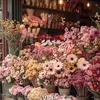 danya_ahmed1