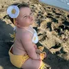 gulla_ganm869