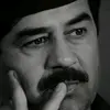 azhr4944