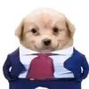 ngvyiu