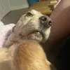 hi561870