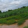 user2901230494551