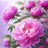 shireen.bux