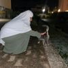 rebhirebhi495