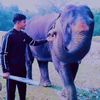shamsul.islam308
