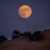 harvest.moon54