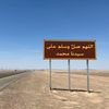aseel_8393