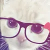 usherkitty