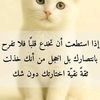 7655644222840roro