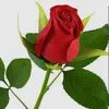 ukmad
