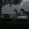 p.i.e.t.r.o
