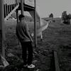 berat_x69