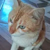 preta.feitosa17