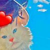 user635079138165255