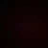 samy_ppnl