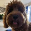 izzymoo24