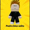 pedroblox206