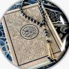 roro.mohamd16