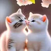 hananemohamed867
