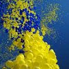 love_ukraine2704