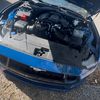 mustang0213