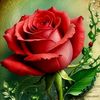 viji32223