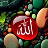 noorzia.azami2