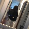 zayl.blaze