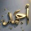 user8160230242588