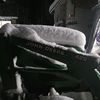 liammuck8