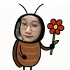 casi.phongtam