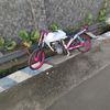 gus.haidar