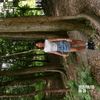 achalantmysteriousgirl