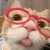 ara_1muppp