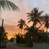 nylarnsdn
