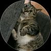 julianbruce3