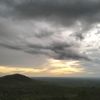 lebah_262