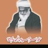 Molana abdulmajeed nadeem shah