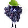 uzi_the_emo_grape