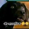 shuvo2gc