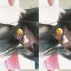 laann.28