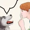 ngdeptayd0