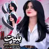 .s668168