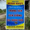 minh.nht4484