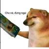 nquang2411