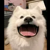 kietluondung