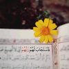 ahmed.wali.bahram