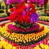 farooq.khan63968